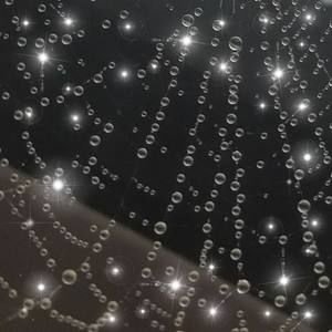 Meet your Posher, Jola